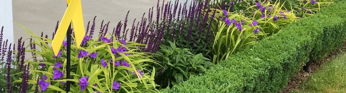 Eco-vision gardens, Windsor ON