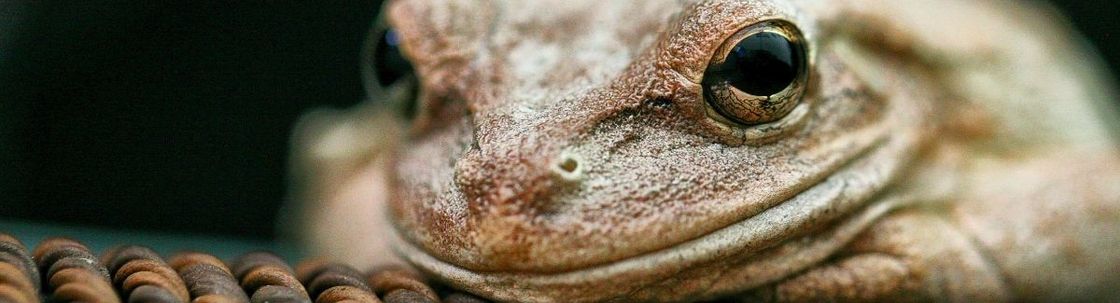 Pan Photographics at www.panphotographics.com, Orlando FL