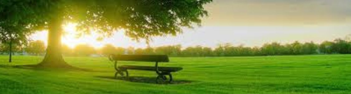 Cooper Professionals, LLC., Yorkville IL