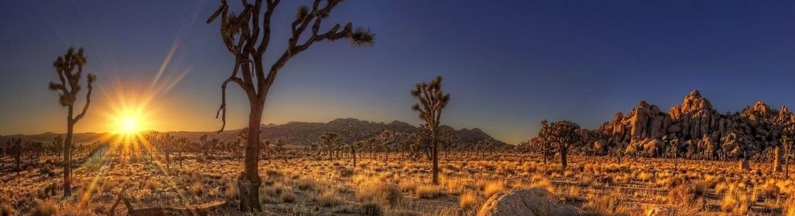 Marlyn El-koussa, Phoenix AZ