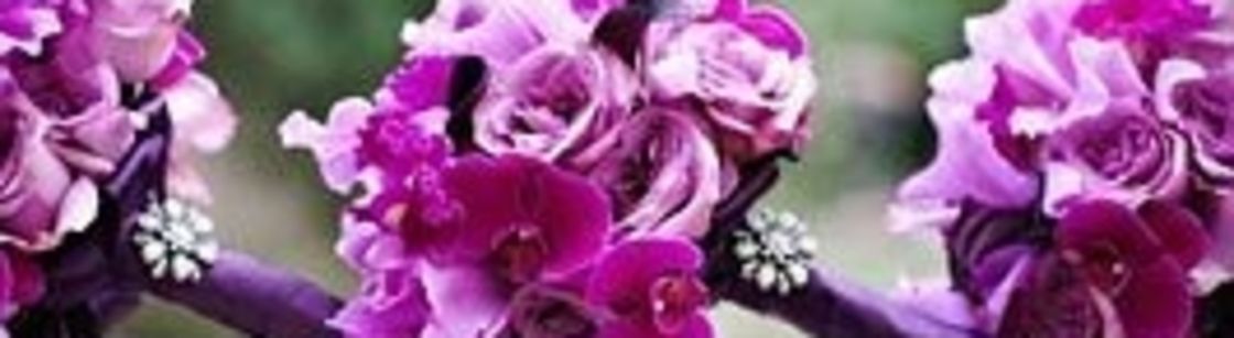 Xceptional Events, LLC., New York NY