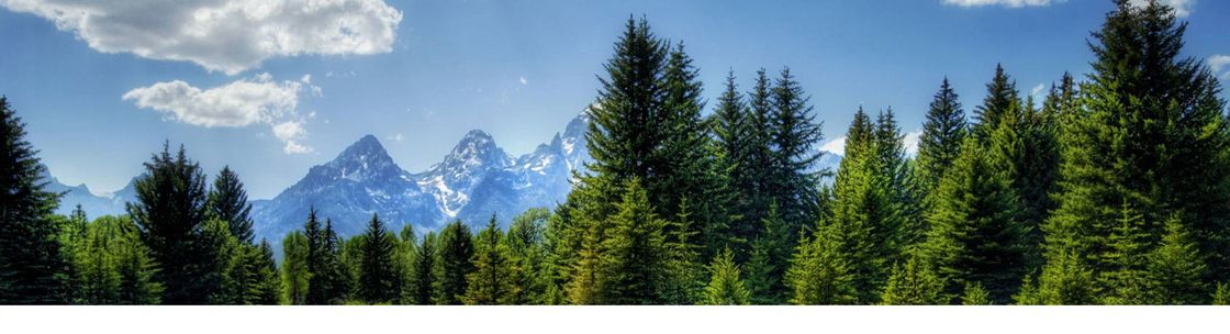 Eaglewing Enterprises Creative Services, Marshfield WI