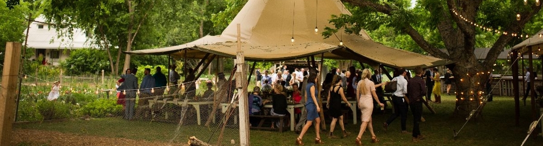 Bird Dog Wedding, Austin TX