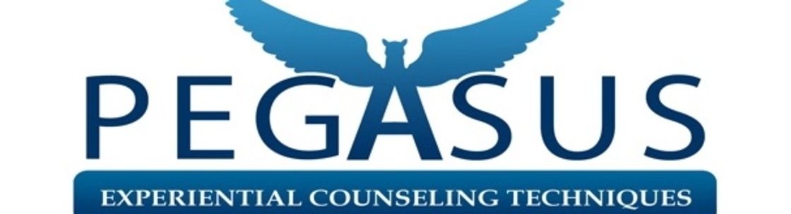 Pegasus ECT, Irvine CA