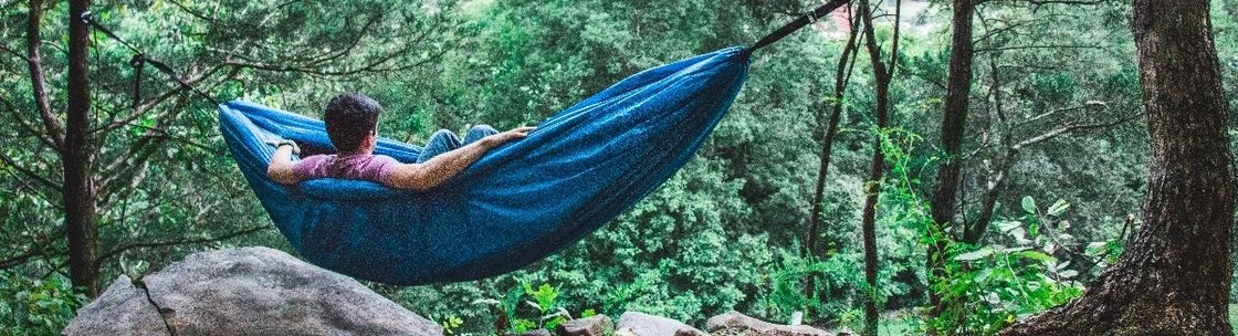 swayy hammocks