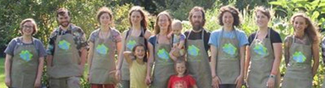 GreenLove Eco Cleaning, Northampton MA