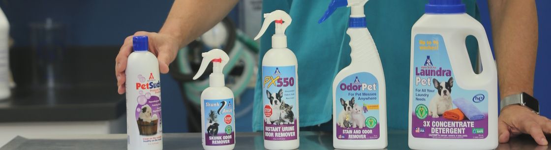 alpha cycles littleton