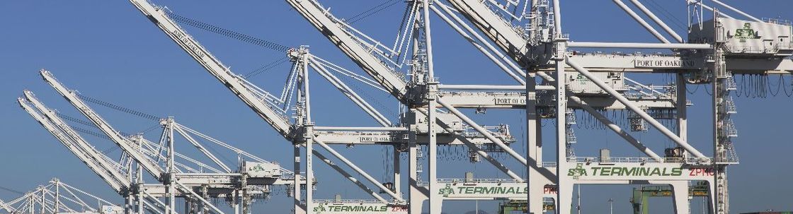 SpeedPro East Bay, Alameda CA