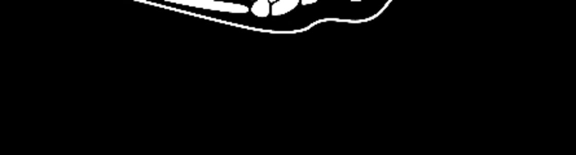 Precision Motorsports of AMERICA, Inc., Safety Harbor FL