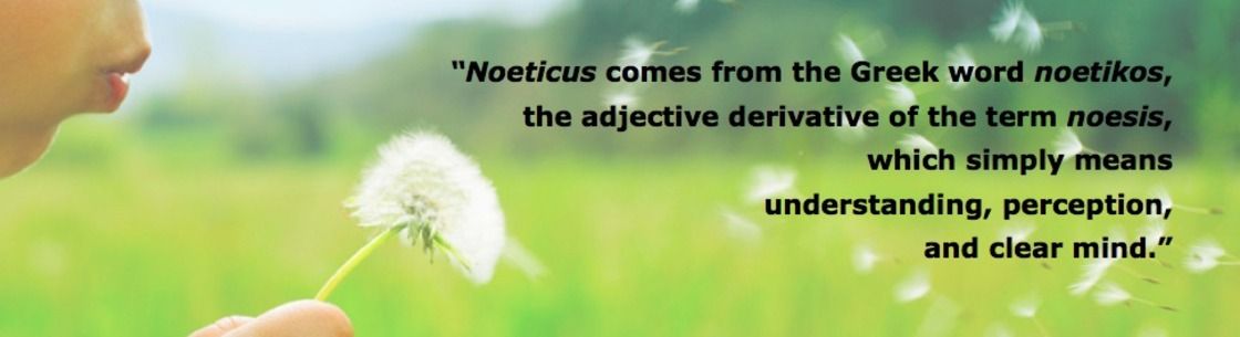 Noeticus Counseling Center and Training Institute®, Denver CO