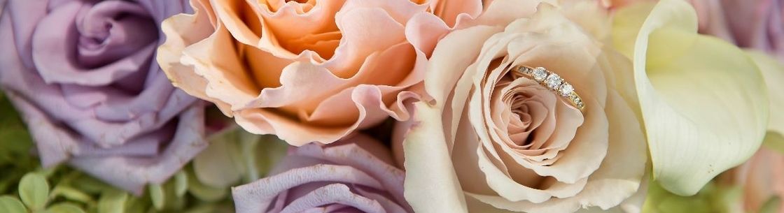 Frost Photography, Westtown NY