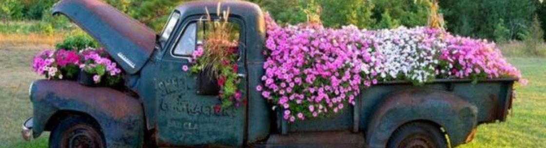 Blackmon Automotive, Kennesaw GA