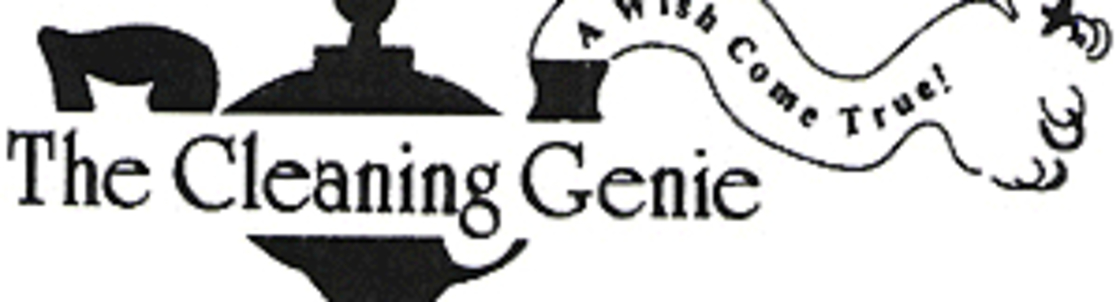 The Cleaning Genie, Sylvania OH
