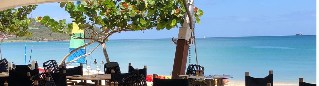 Finding Paradise With Sue, an IC with Travelwize, a Virtuoso affliated Travel Agency, Daytona Beach FL