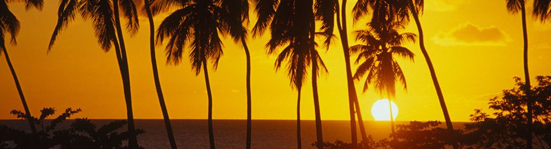 IT Rescue Service, San Juan PR