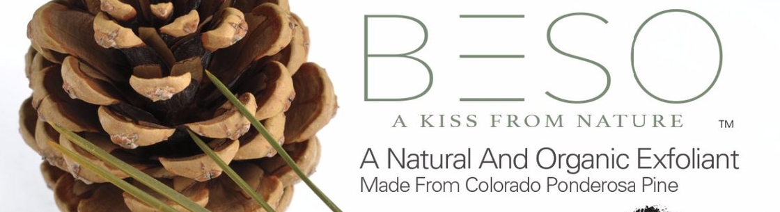 BESO™ Skin Care, Arvada CO
