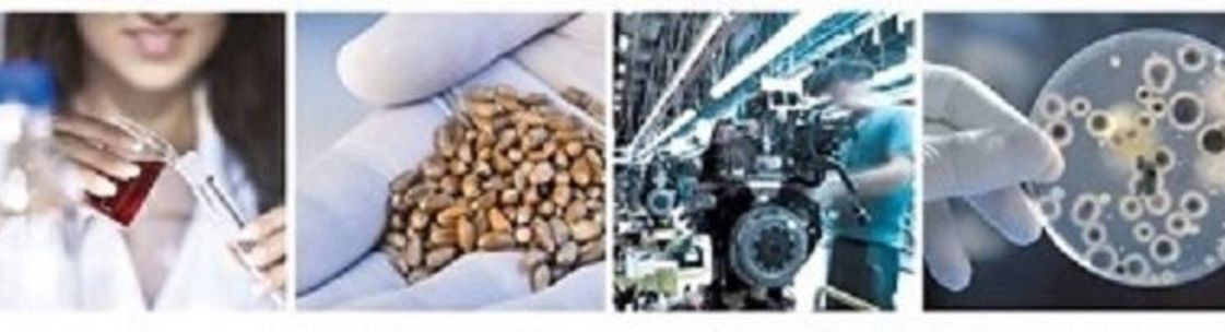 Techcentive Services Inc, North York ON