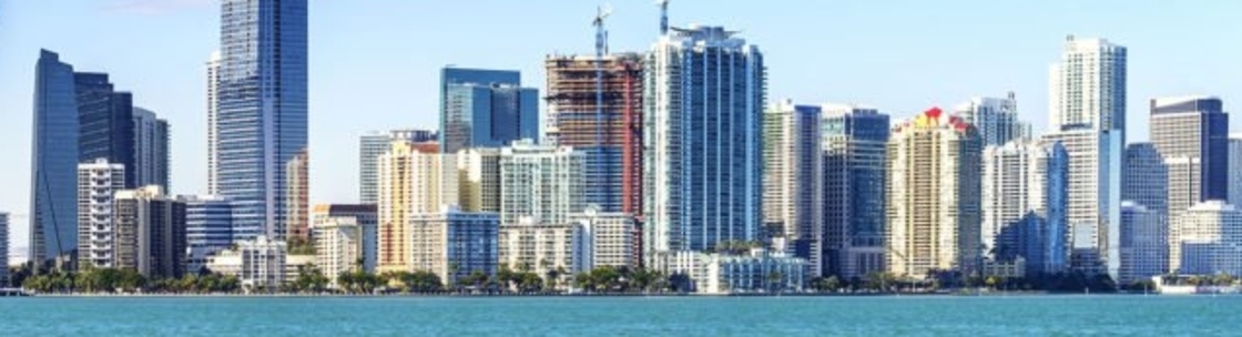 Lizzy Realtor, Miami FL