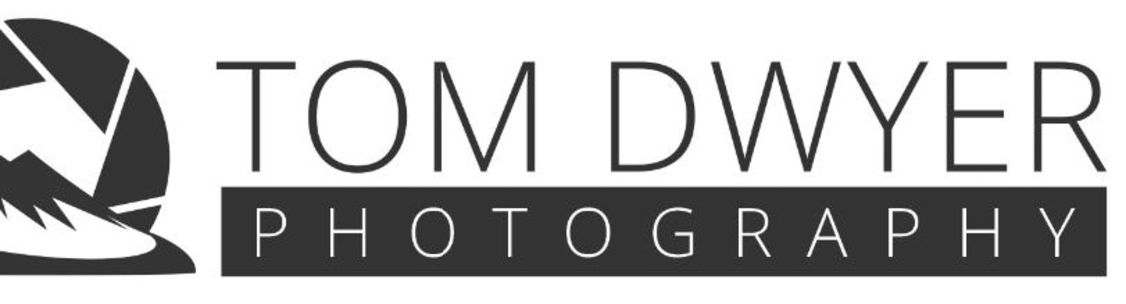 Tom Dwyer Photography, Marietta NY