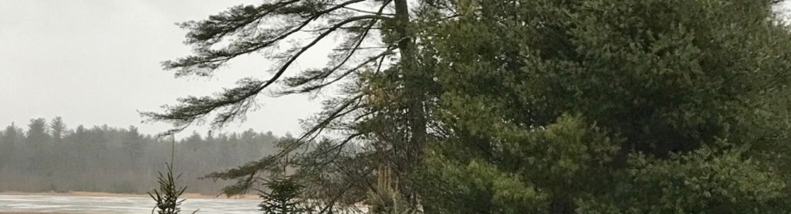 Attorney Candice McKenna-Imlach, Plymouth MA