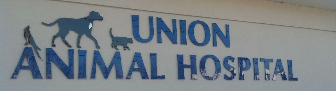 Union Animal Hospital, Union NJ