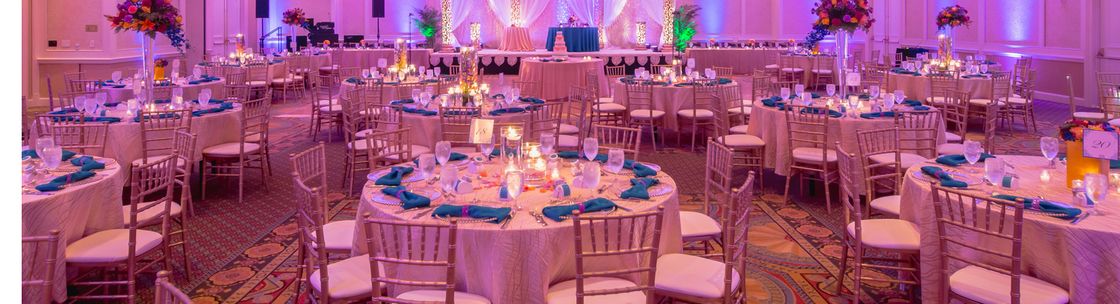 Wedded Perfection, Novi MI