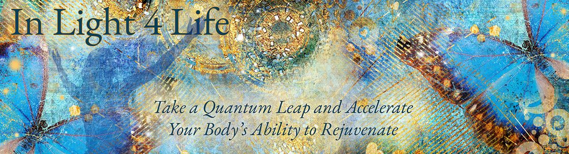 In Light 4 Life, San Anselmo CA
