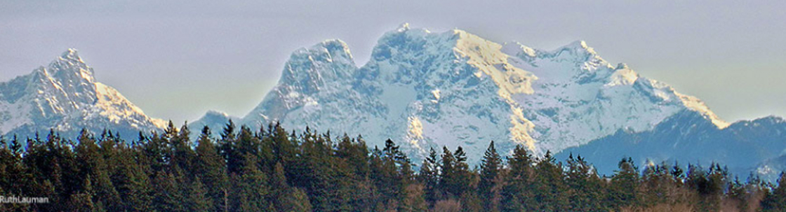 RuthLauman.com, Blaine WA