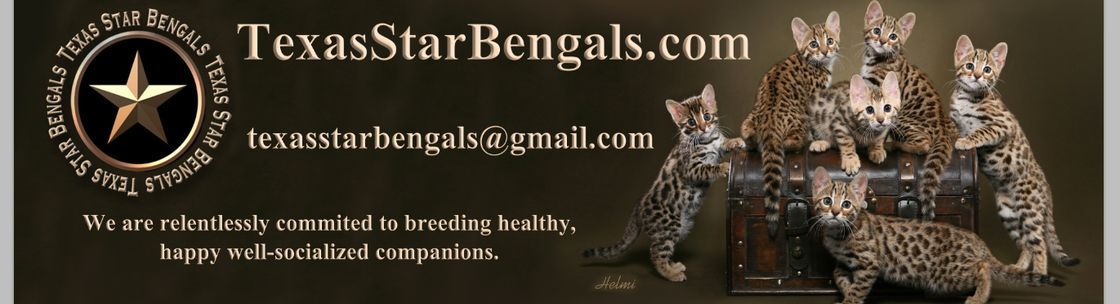 TEXASSTAR BENGALS, Lavon TX