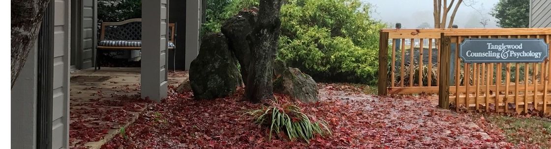 Heather Clifft, LPC, Roanoke VA