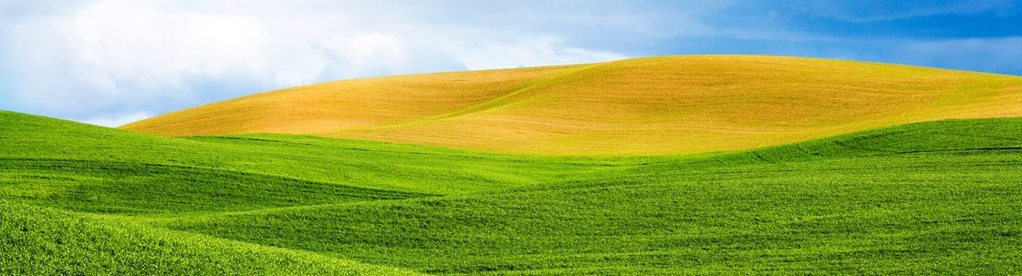 Lightwerx Media, Beaverton OR