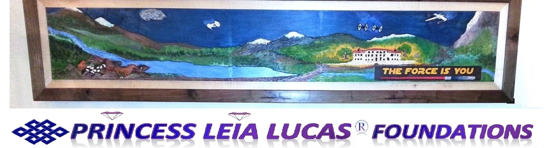 PL Lucas® Foundations, HCvsAIC®, Human Capabilities vs AI®, IFNBT® Brain Science,  CSNP® Neuroscience,  Life Force Recovery®, Digital Protected Producer®, PL Lucas® Education..., Clayton CA