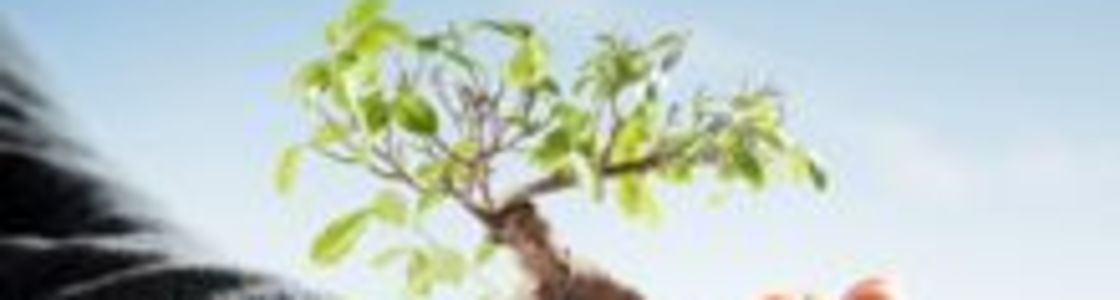 Columbia Tree Service, Hood River OR