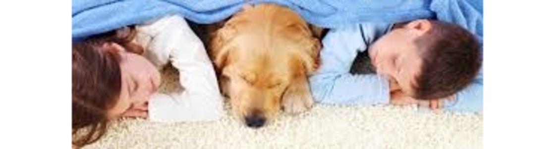 Royal Carpet Cleaning Inc, Winder GA