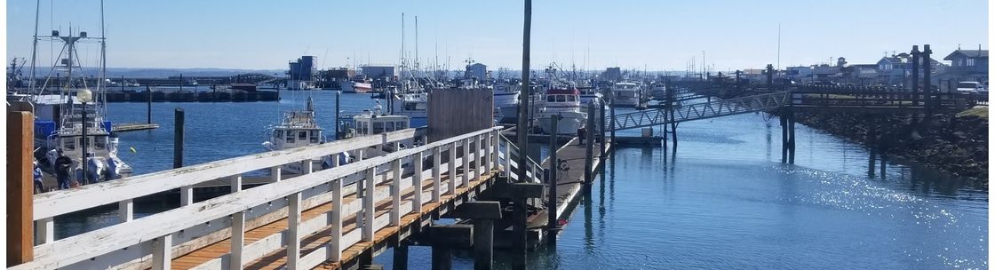 Islander Westport Motel, Westport WA