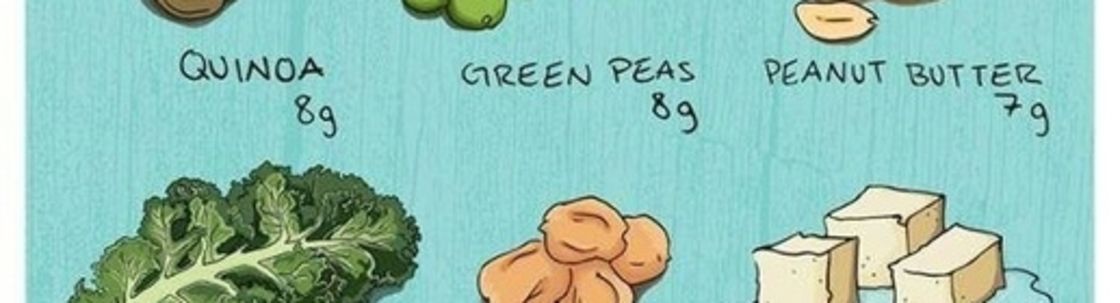 Secrets of Nature Health Food Centers, Washington DC