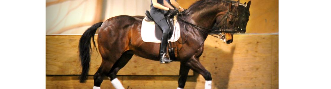 Pine Hill Farm, Kansas City MO