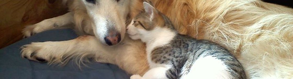 Nature's Pet Market Eugene, Eugene OR