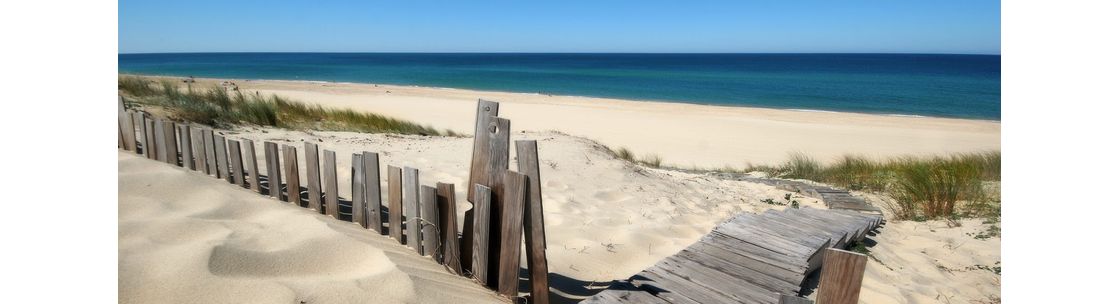 Beach Business Solutions, LLC, Longs SC