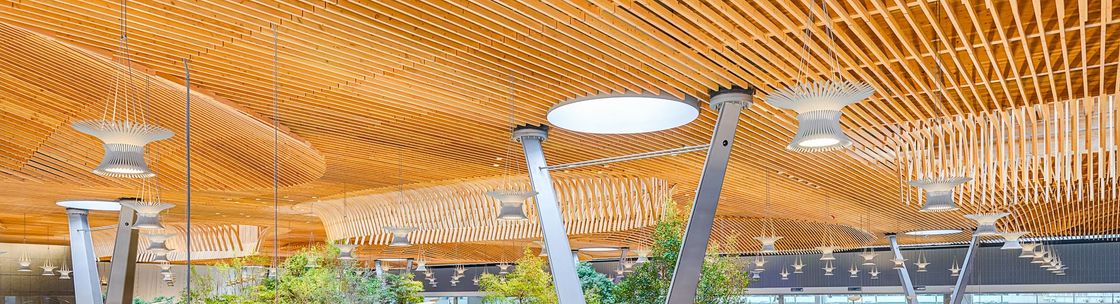 Lara Janzen Photography, Clackamas OR