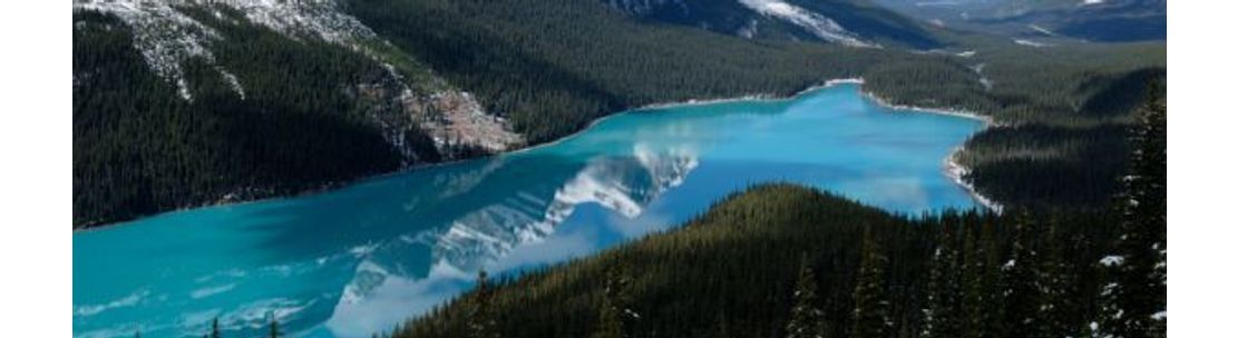 Barbara Rahal Photography, Edmonton AB