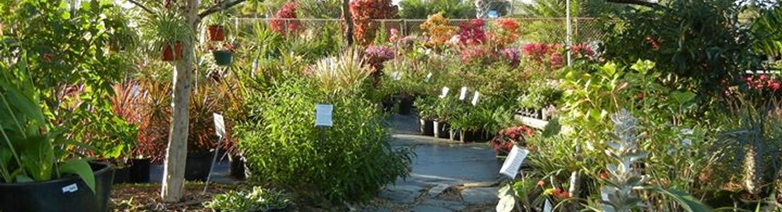 Riverland Nursery & Landscape - Fort Myers, FL - Alignable