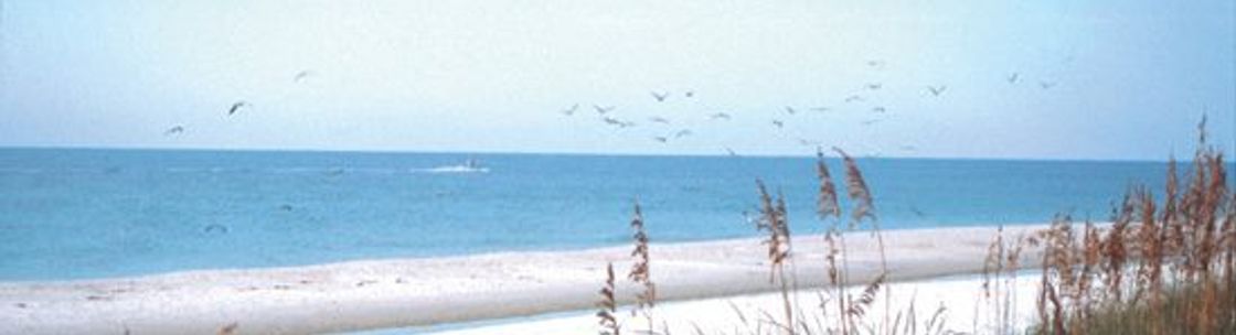 Kim Ward Realty, LLC, Gulf Shores AL