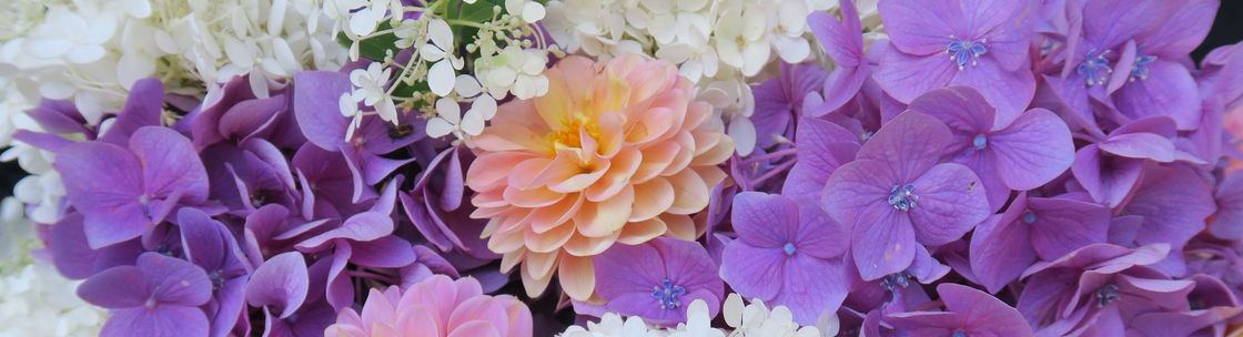 Amanda's Garden Consulting Company, Delta BC