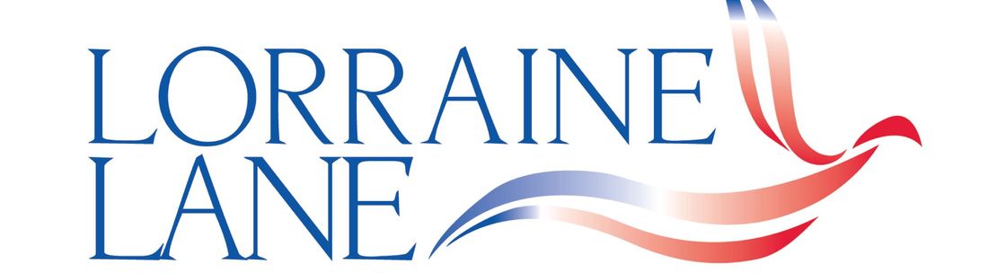 Lane Business Consulting, Land O Lakes FL
