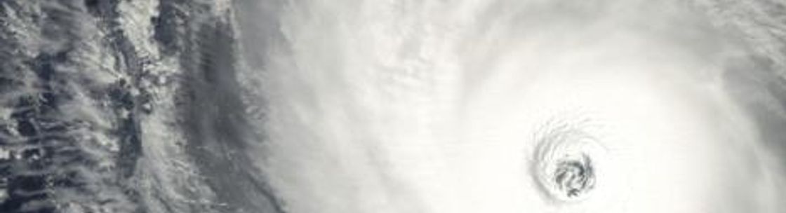 The Shelter Kitchen + Bar, Mount Pleasant SC