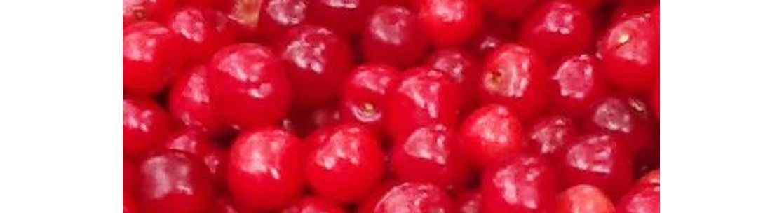 Jam Berrie LLC, Mazomanie WI