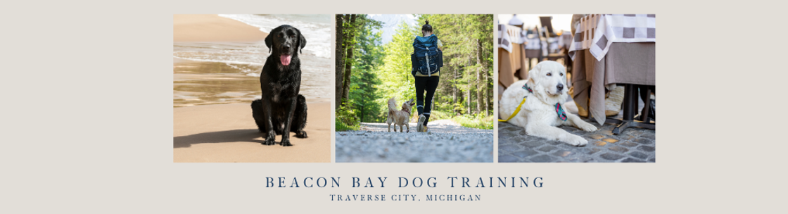 Beacon Bay Dog Training, Traverse City MI
