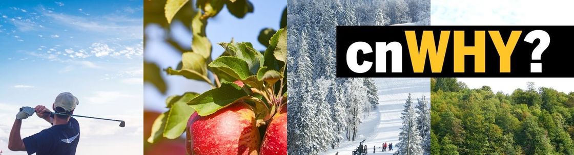 HUNT Real Estate ERA, Manlius NY