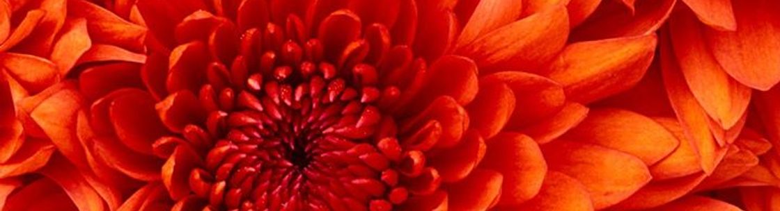 Qiaras Secretarial Service, Bartow FL